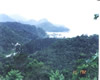 Renascimento 2002